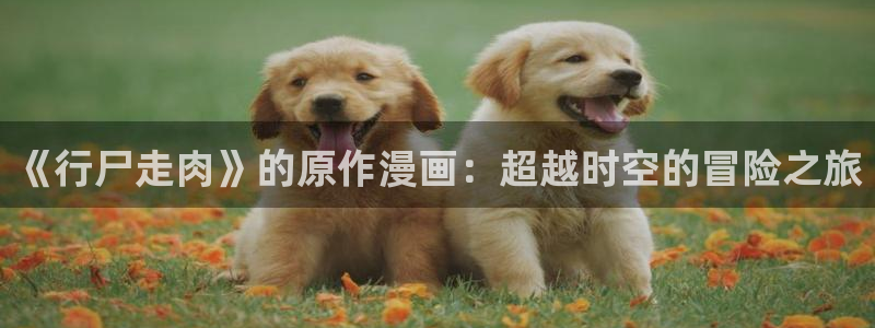 美丽新世界韩漫免费观看漫画：《行尸走肉》的原作漫画：超越时空的冒险之旅