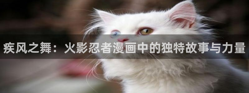 韩漫寄宿漫画：疾风之舞：火影忍者漫画中的独特故事与力量