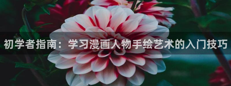 55漫画网韩漫：初学者指南：学习漫画人物手绘艺术的入门技巧