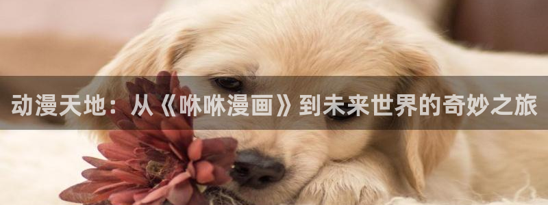 韩漫免费观看漫画大全：动漫天地：从《咻咻漫画》到未来世界的奇妙之旅